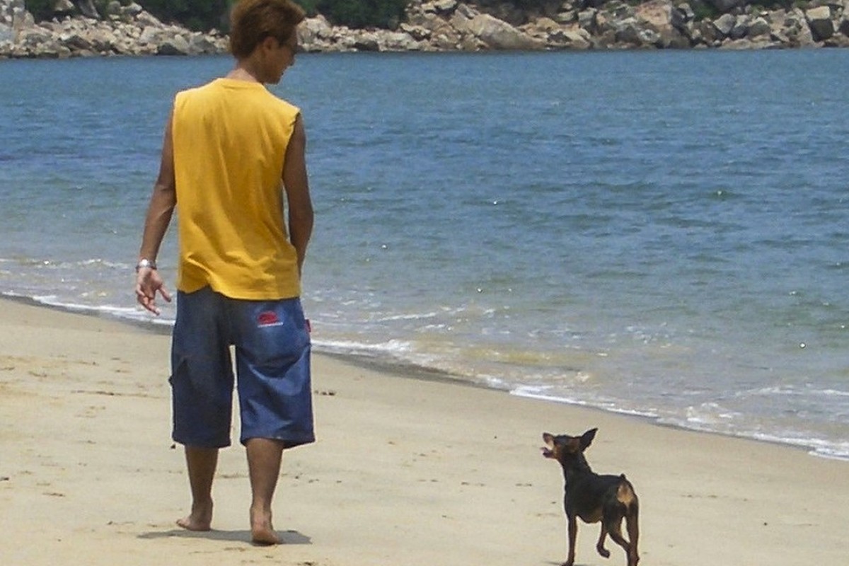 How A Pet Dog Inspired A Course At The Chinese University Of - 