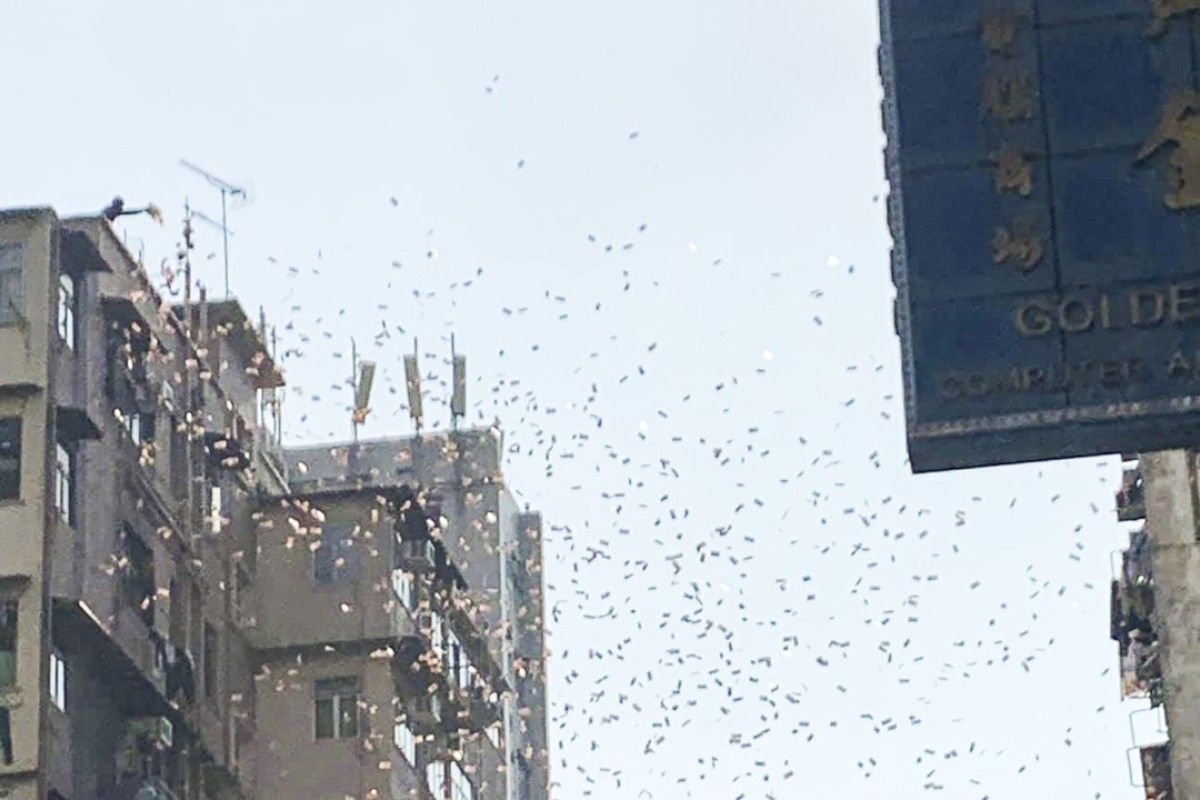 Banknotes Falling From The Sky Send Crowd Into A Frenzy In - 