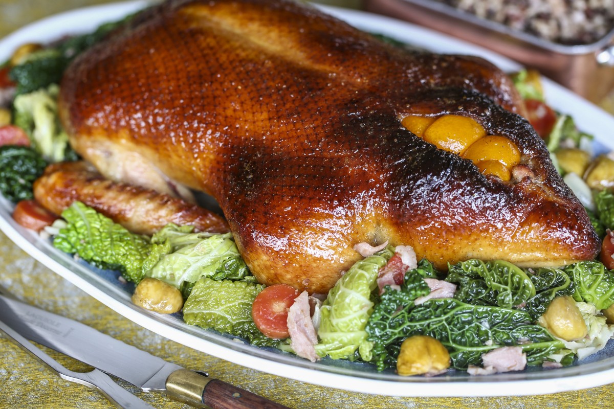 Lucy And Gingerproduction Red Chicken Best Thoughest Layer - 