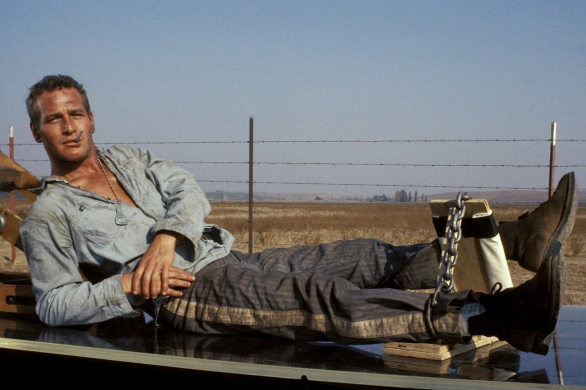 Classic American Films Cool Hand Luke Paul Newman Shines In Compelling Prison Drama South