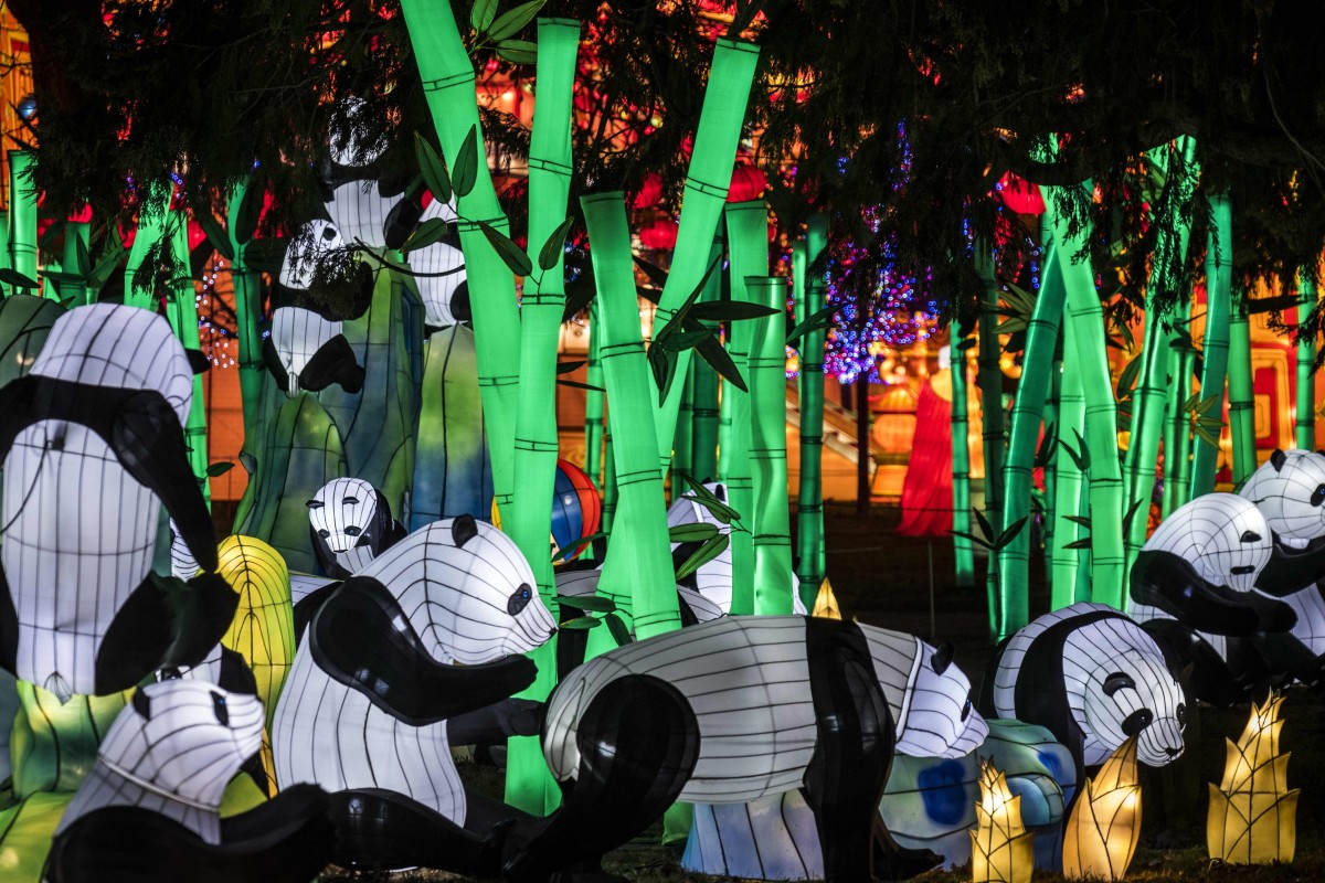 Chinese Lanterns Light Up Winter For One Small Town In South - 