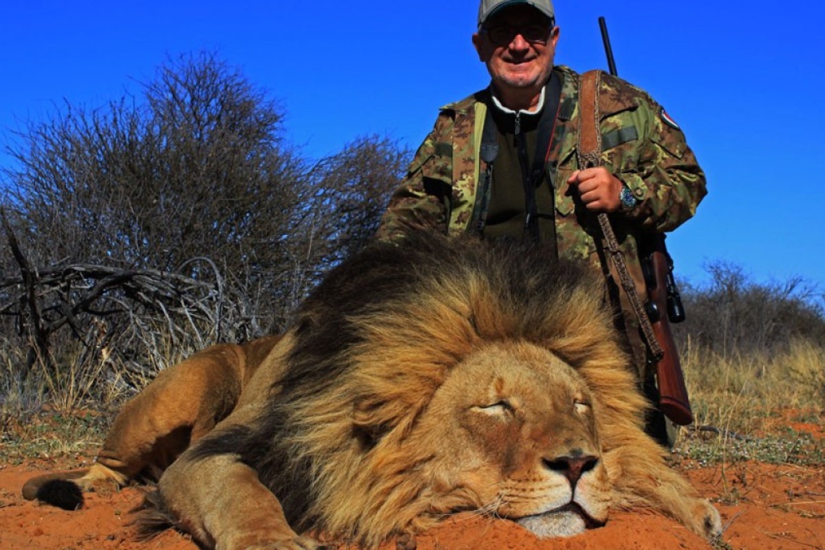 Animal-loving cricketer's anti-hunting tweet sparks online debate – do 'managed safaris' actually help conservation? | South China Morning Post Animal-loving cricketer's anti-hunting tweet sparks online debate – do 'managed safaris' actually help conservation? | South China Morning Post