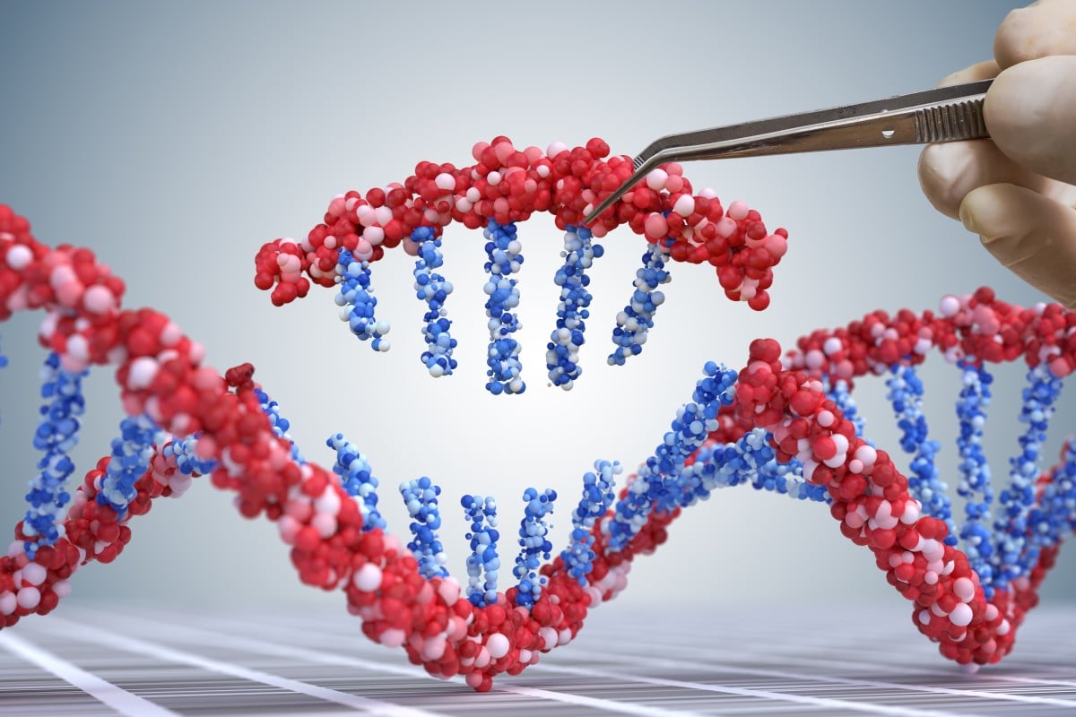 Its Genome Was Sequenced Last Year But >> Tens Of Thousands In Hong Kong To Have Their Dna Sequenced In Its Genome Was Sequenced Last Year But >> Tens Of Thousands In Hong Kong To Have Their Dna Sequenced In