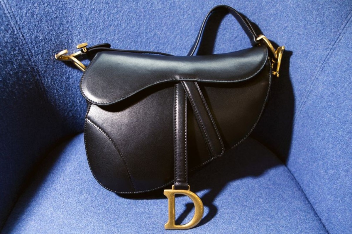 dior saddle bag buy online