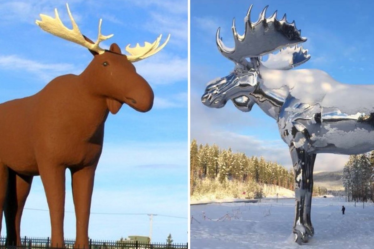 Canadian Moose Porn - All elk breaks loose as Canada and Norway lock horns in battle over tallest  moose sculpture | South China Morning Post