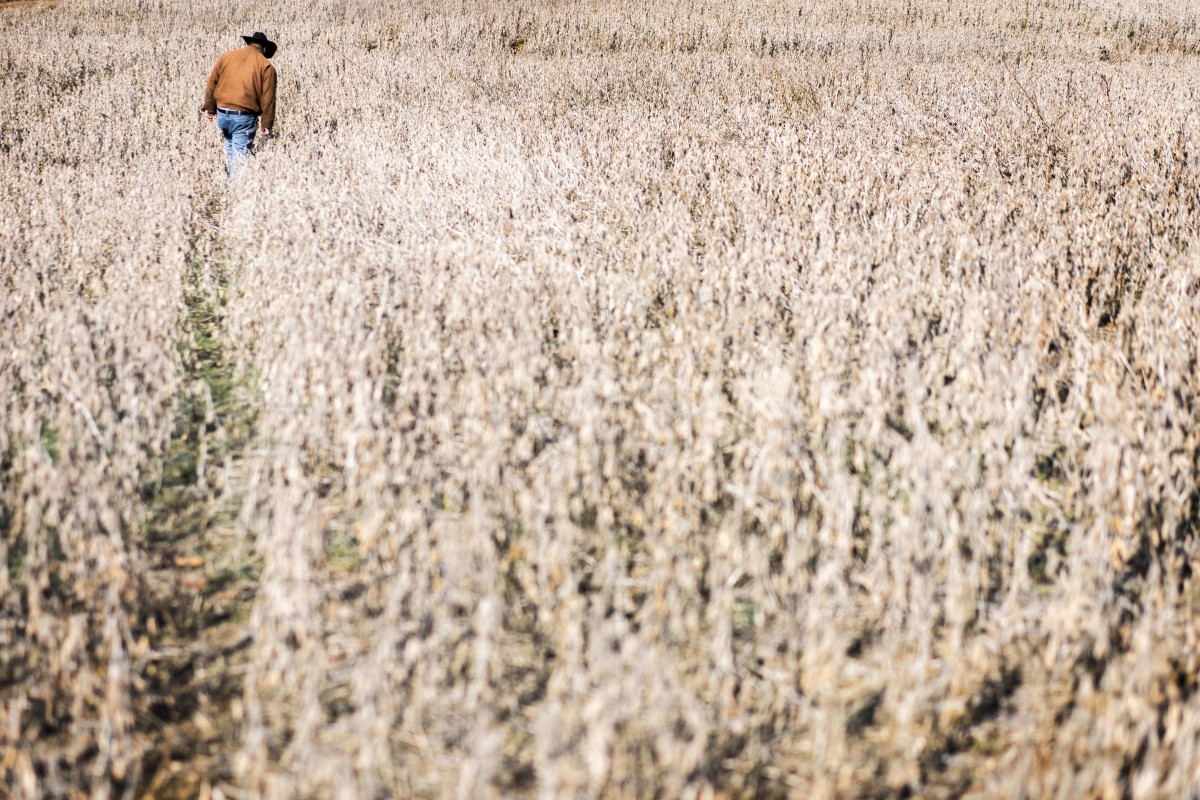 China Says It Will Buy More Soybeans But American Farmers See A Bleak Future South China Morning Post
