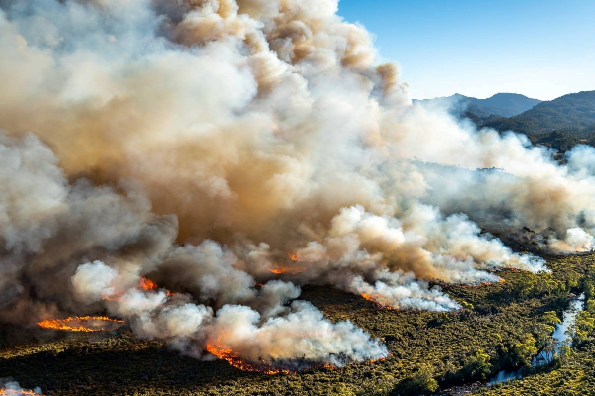 As threat of global warming deadly reality, what