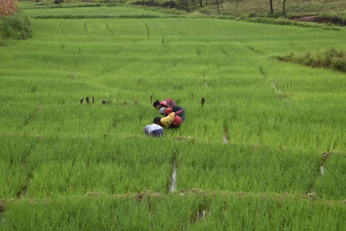 China India Making The World A Greener Place According To - 