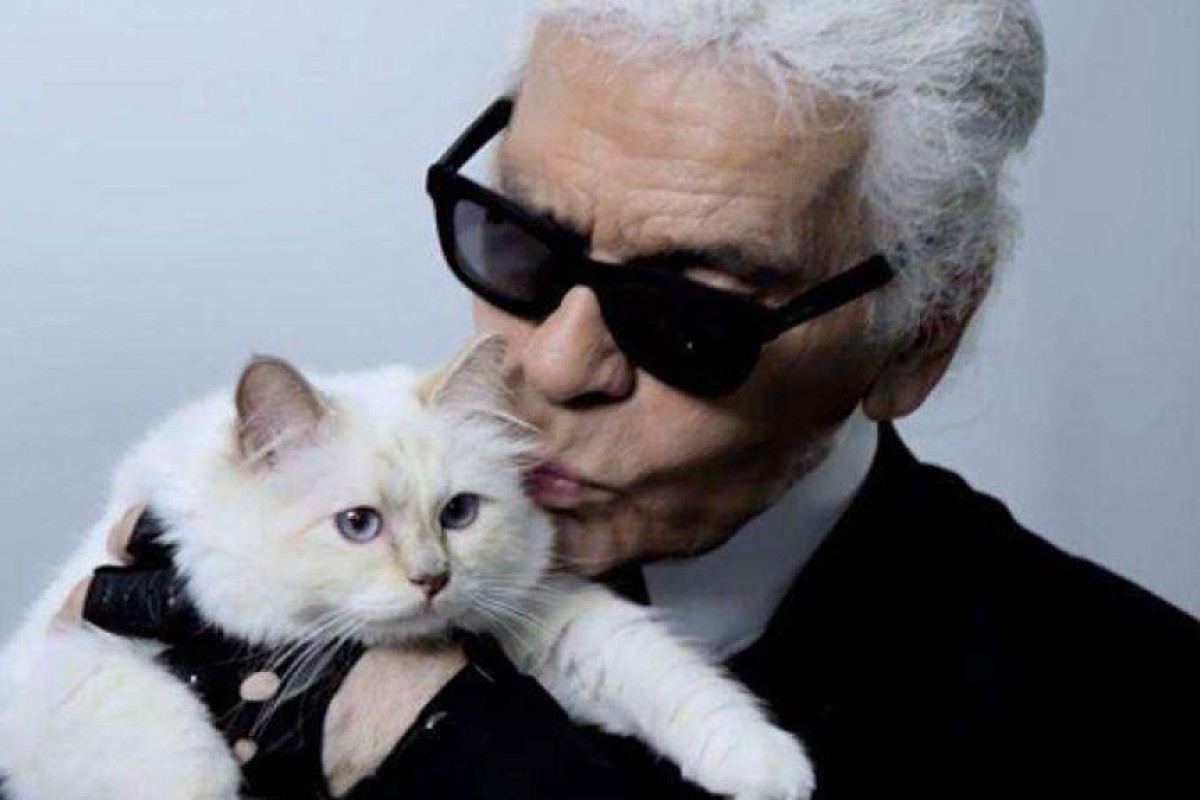 How Karl Lagerfeld S Cat Choupette Already A Millionaire Could