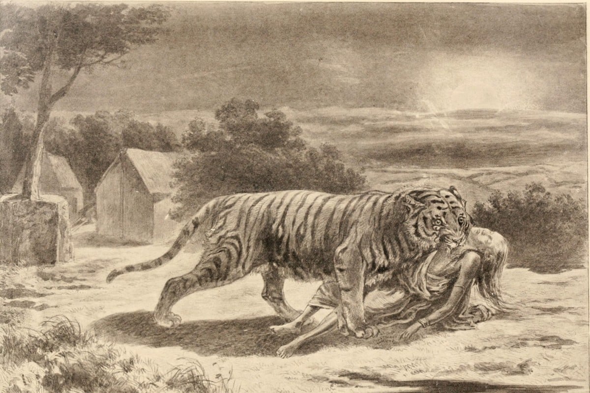 History's deadliest single animal? Story of the killer Indian tiger and the  man who hunted it down detailed in new book | South China Morning Post