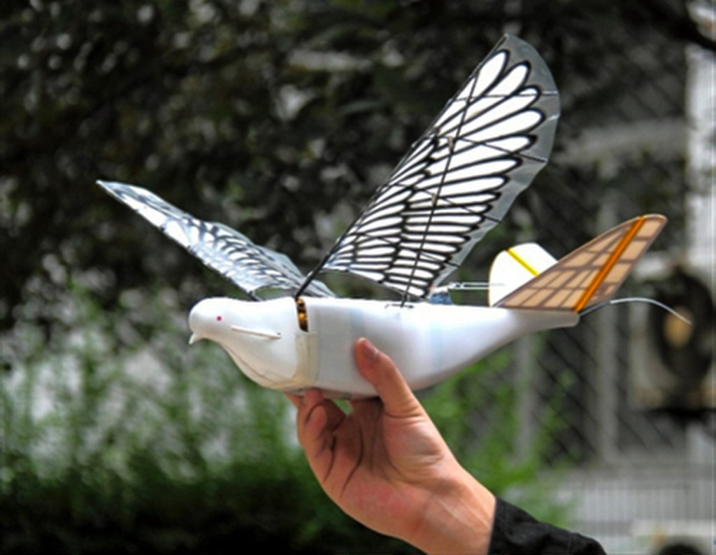 Engineers at Northwestern Polytechnical University in China's Xi'an made these birdlike drones. (Picture: Northwestern Polytechnical University)
