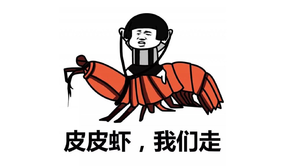 The meme that took China’s internet by storm last year.