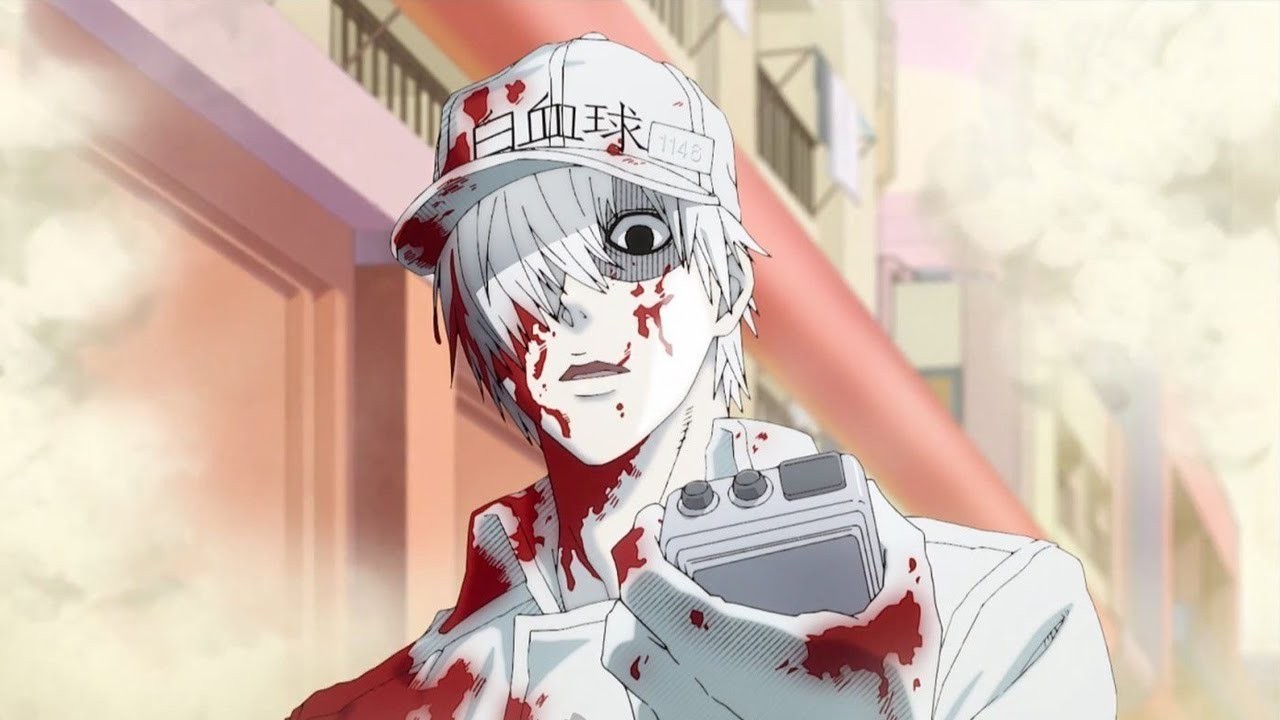 This is what the anime version of a white blood cell looks like. (Picture: Bilibili.)