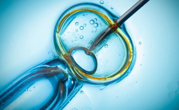 Hong Kong women aged 21-25 and 31-35 were the most likely to get pregnant after IVF treatment, according to a recent study. Photo: ShutterstockIVF by intracytoplasmic sperm injection