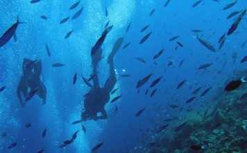 Apo Marine Park lies south of Manila in the Philippines. Photo: EPA