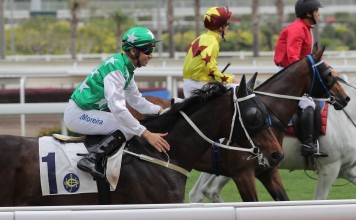 Joao Moreira and Pakistan Star return to scale after being beaten by Southern Legend. Photo: Kenneth Chan