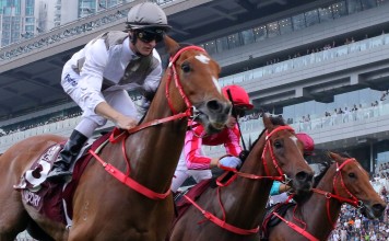 Ivictory races to victory in last season’s Chairman's Sprint Prize at Sha Tin. Photos: Kenneth Chan