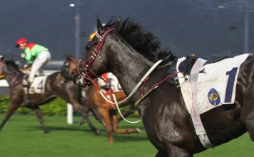 Go Beauty Go gallops on after dislodging Tye Angland at Sha Tin on Sunday. Photos: Kenneth Chan