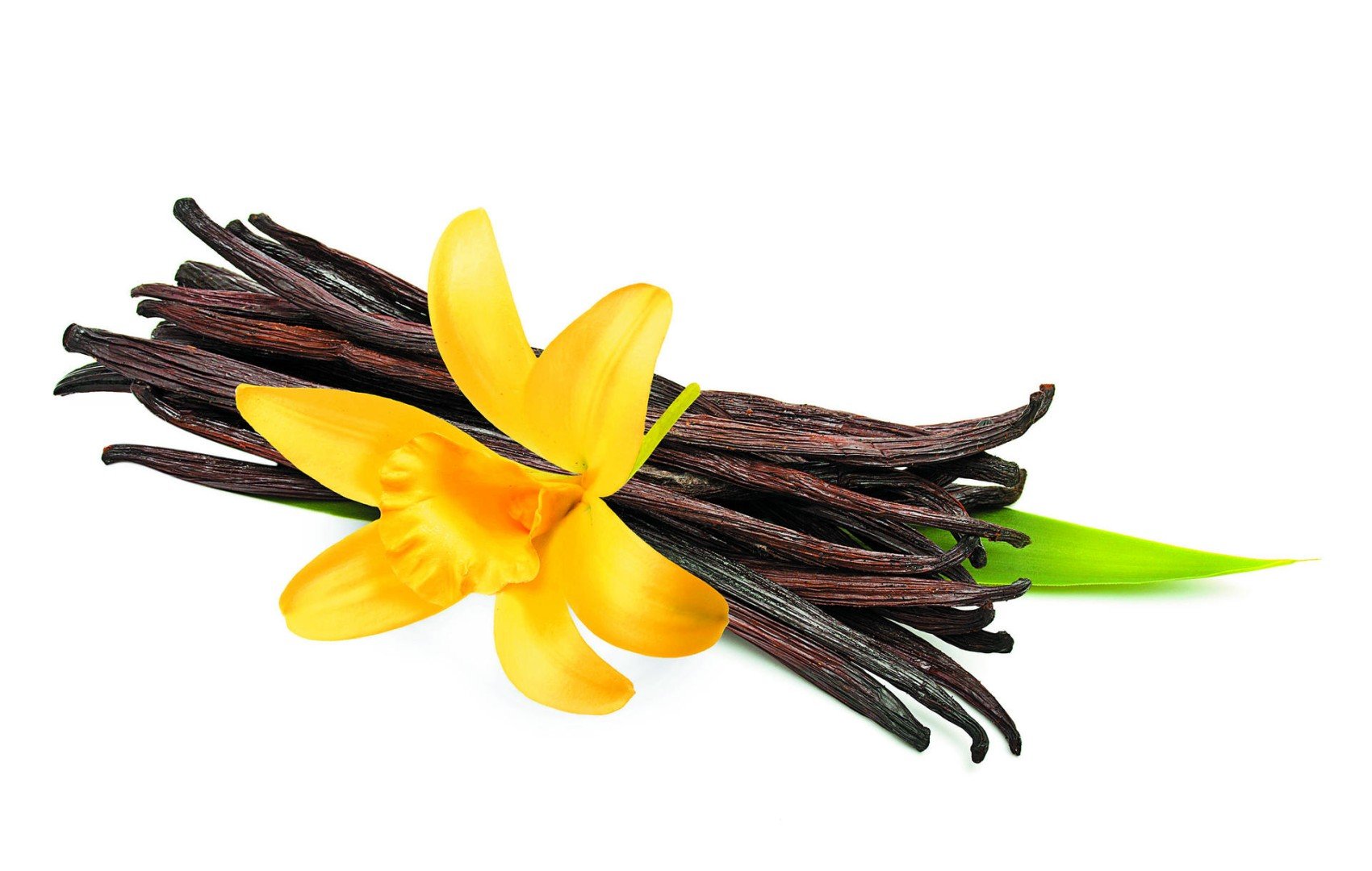 nothing plain about the miraculous vanilla pod south china morning post miraculous vanilla pod south china