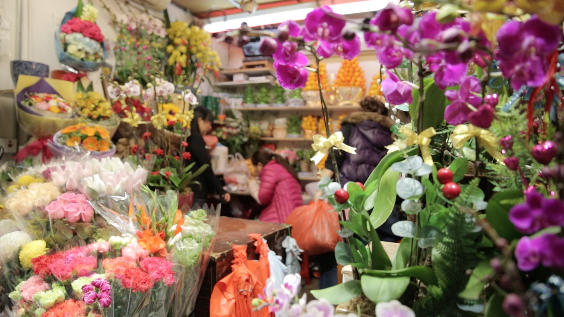 Chinese New Year 2016 The Meaning Behind Plants And Decorations We Display South China Morning Post