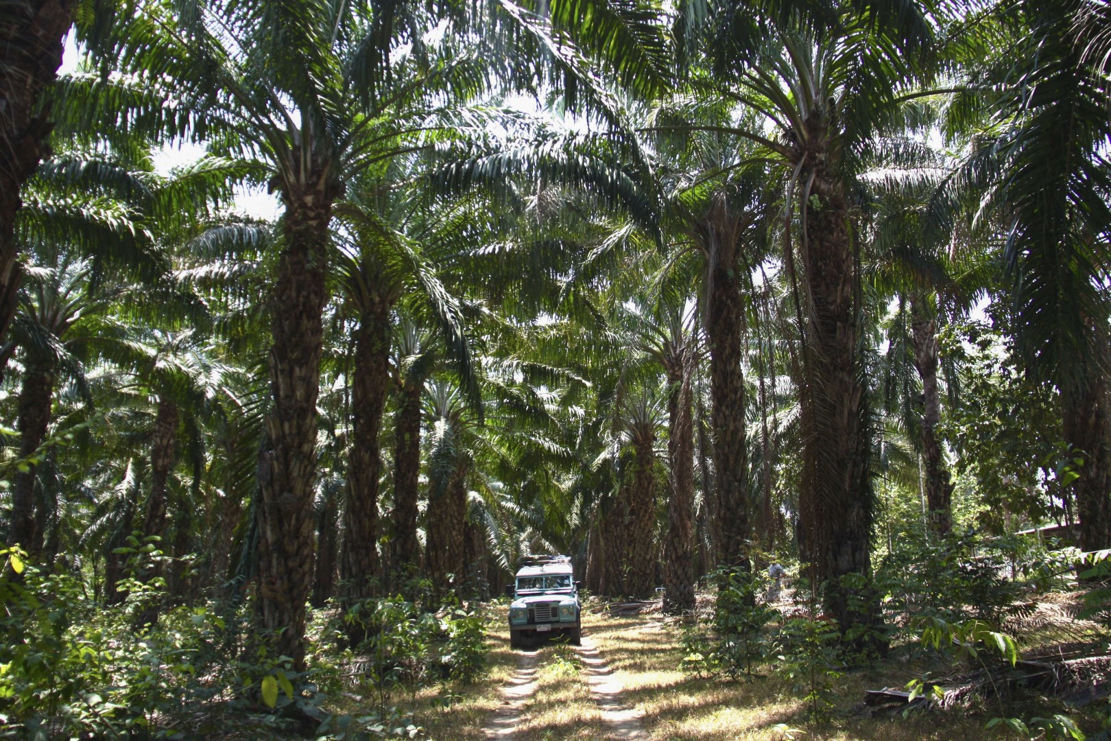 Three Men One Vintage Land Rover And A 900km Trip Through - 