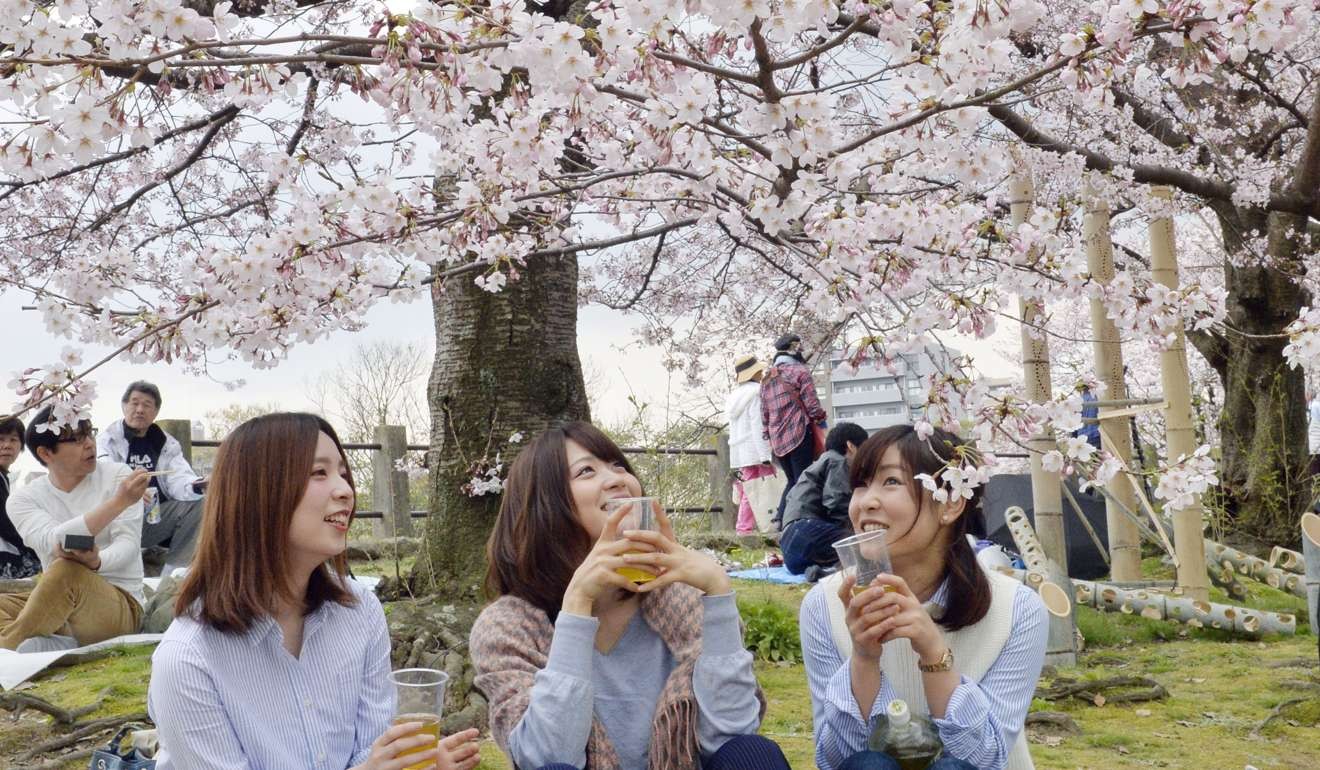 Forget The Cherry Blossoms Springtime In Japan Means Gearing Up For Allergy Season South China Morning Post