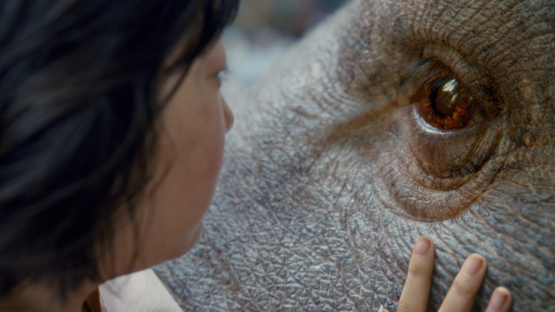 Five secrets from Okja Netflix s story of a girl and her super pig