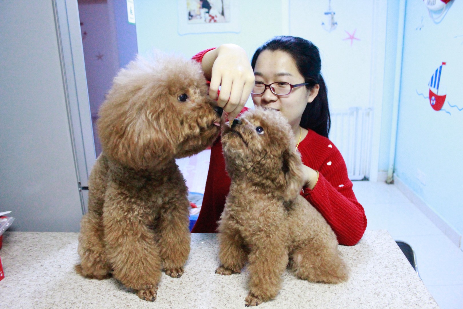 It S Dog Eat Dog As China Declares War On Man S Best Friend