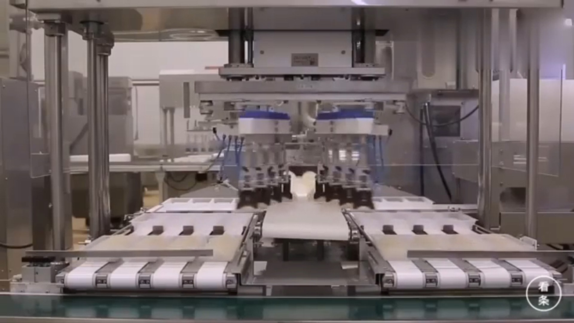 Inside The Chinese Dumpling Factory Where Robots Do All The