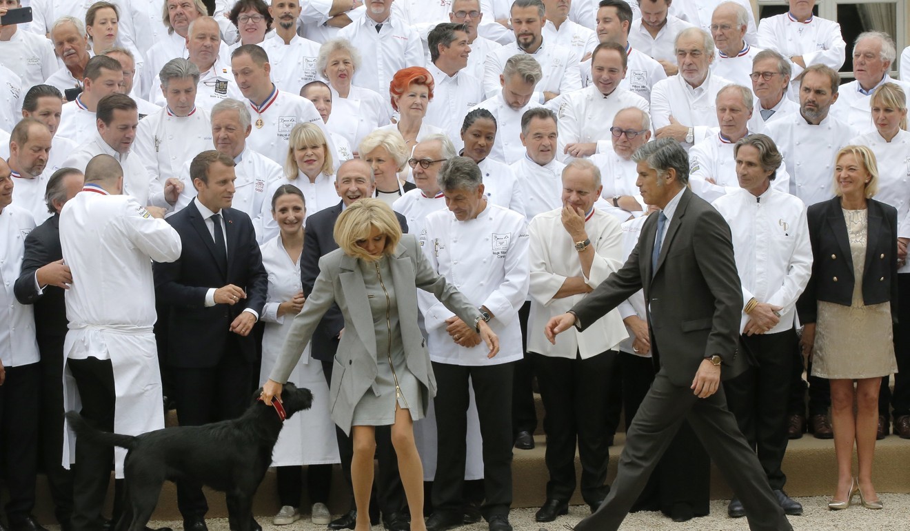 France S First Dog Nemo Interrupts Macron Meeting By Peeing On Palace Fireplace South China Morning Post