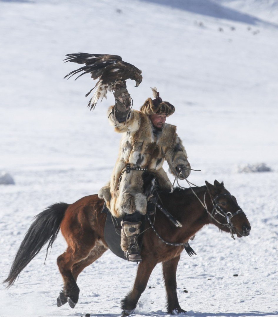 Revival Of Hunting With Eagles Gathers Pace In Mongolia As