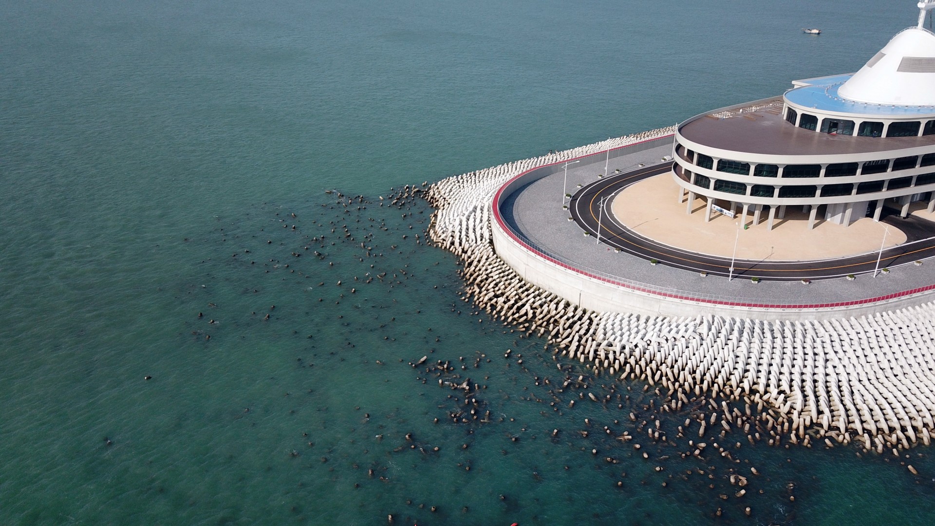 Safety Concerns Over Artificial Island At Mega Hong Kong Zhuhai