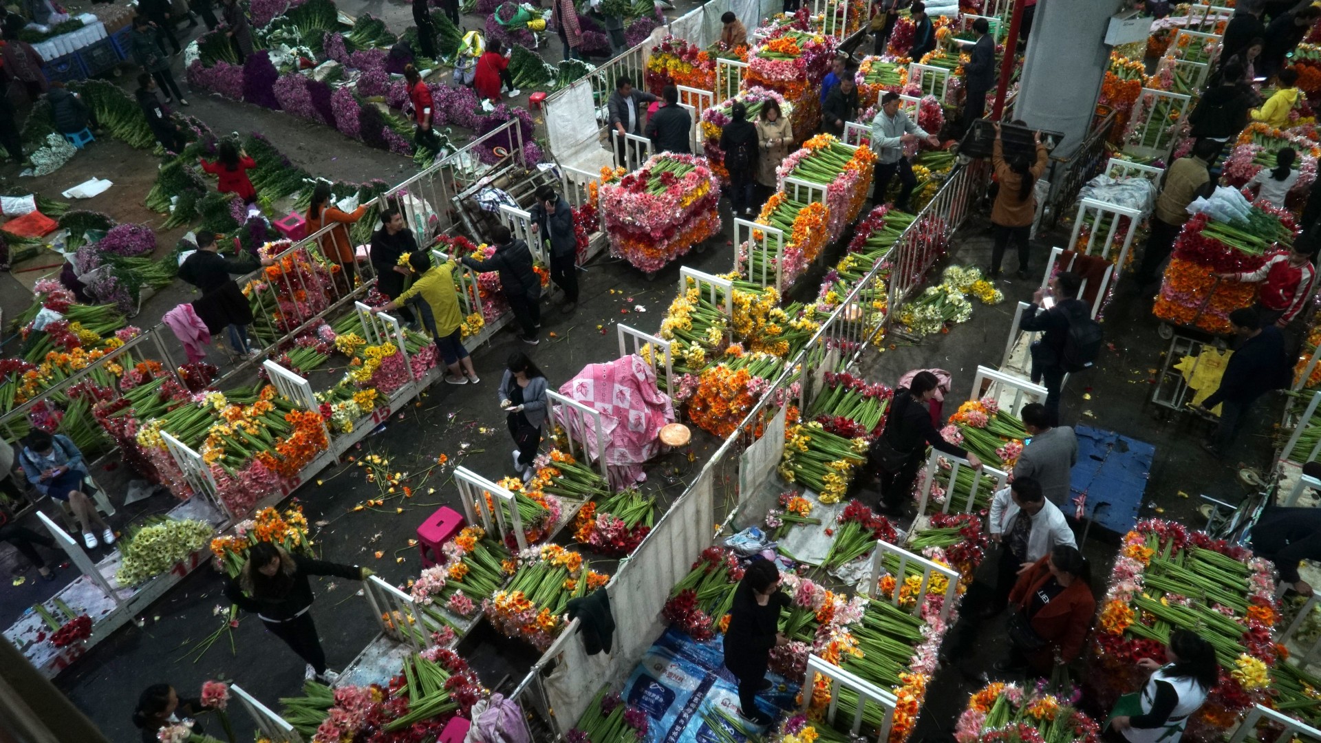 The Giant Chinese Flower Market Aiming To Be A Blooming World