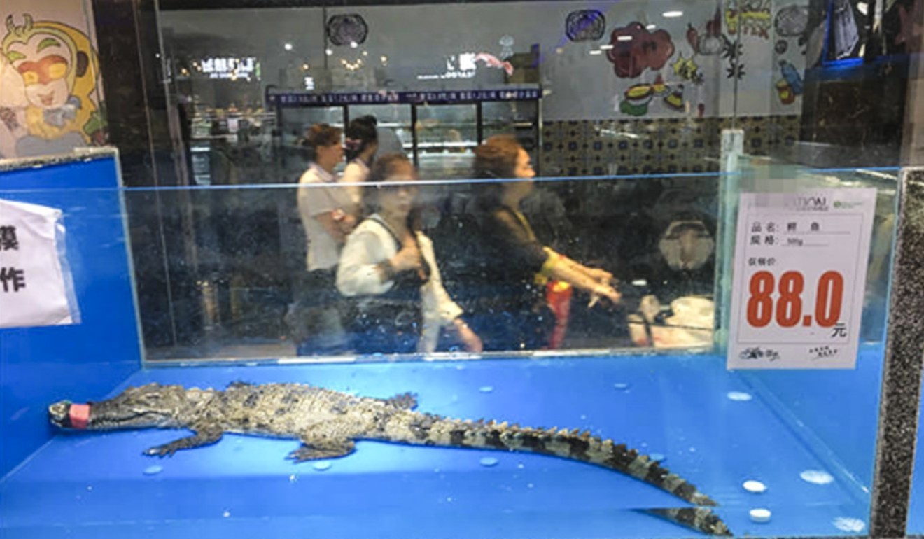 Endangered Species Found In China Supermarkets Seafood - 