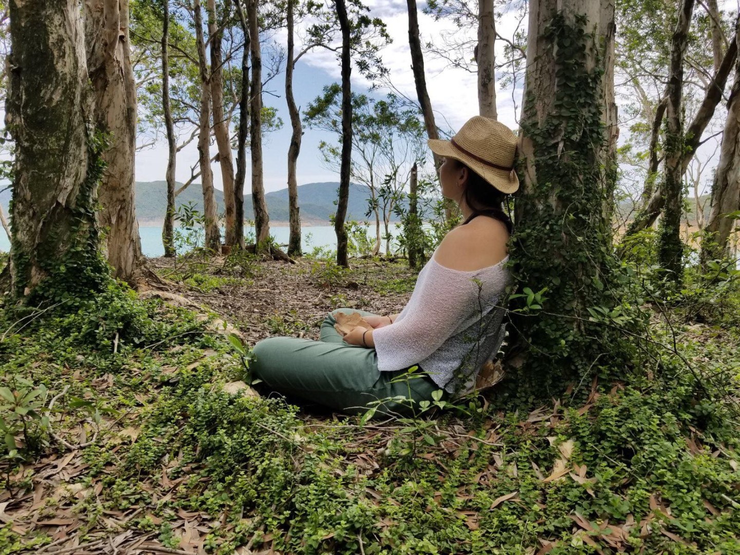 The Latest Natural Therapy How Japanese Forest Bathing Gets