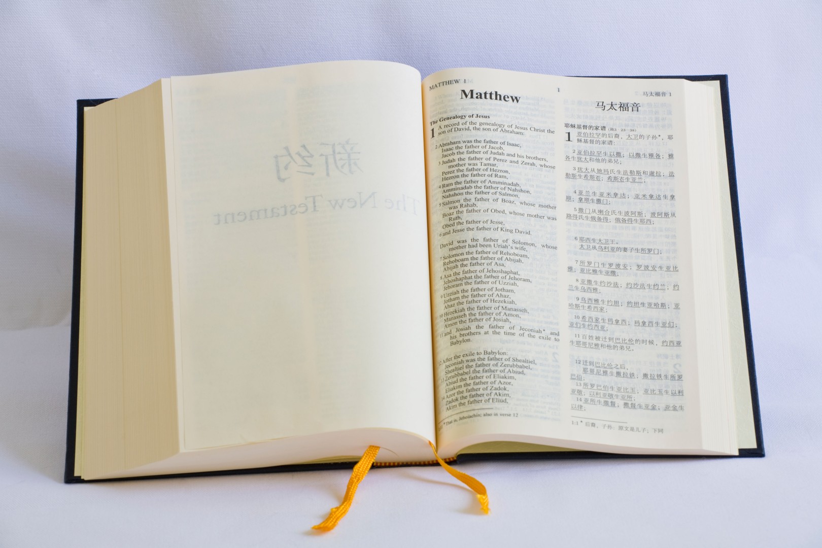 The Chinese Bible How It Was Translated And The Phrases It - 