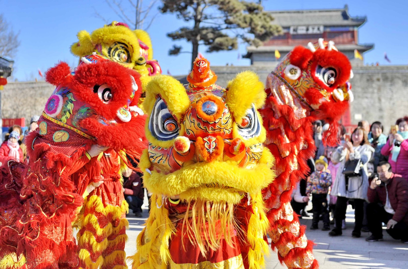 The Lopsided Fortunes Of China S Ancient Lion Dance Thriving In The South But Struggling In The North South China Morning Post