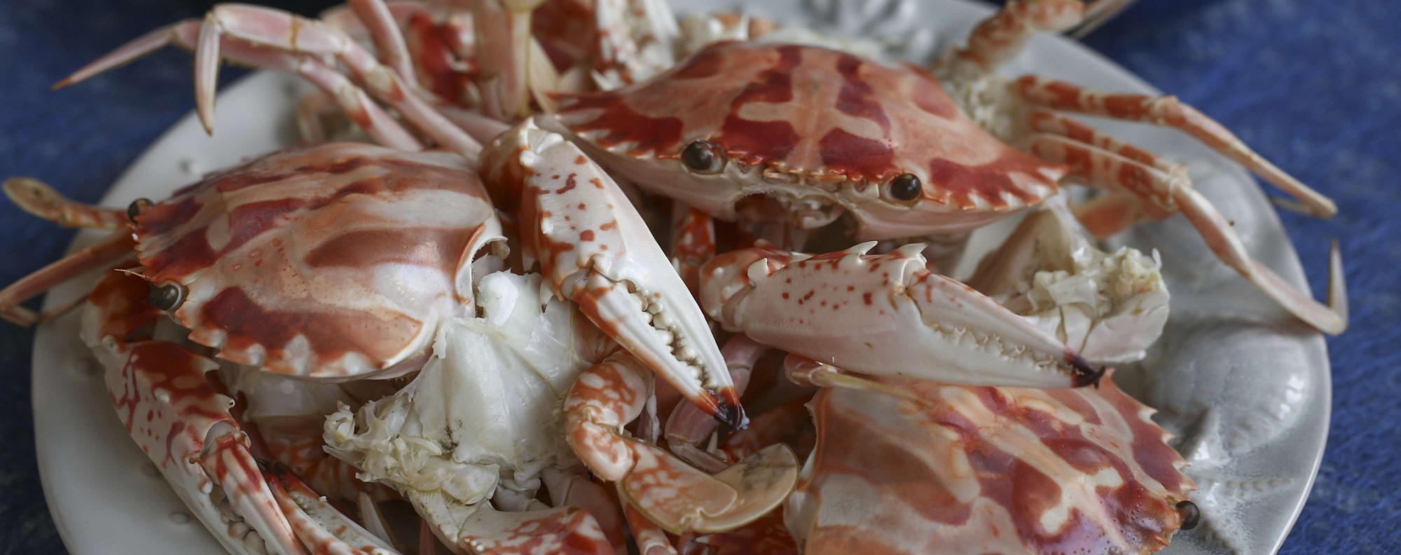 Susan Jung’s recipe for steamed crabs with soy and garlic dip, and