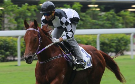 Joao Moreira rides Master Albert to a barrier trial victory at Happy Valley. Photo: Kenneth Chan