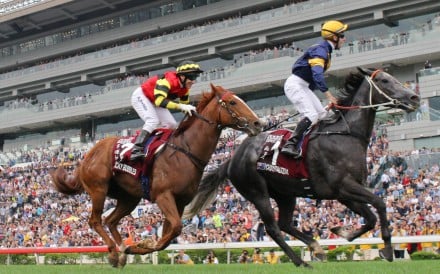 Chautauqua (Tommy Berry) wins the 2016 Chairman's Sprint Prize at Sha Tin, a leg of the Global Sprint Challenge. Photo: Kenneth Chan