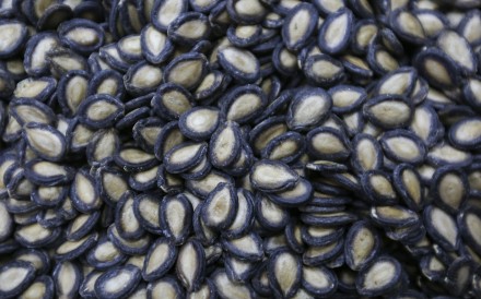Shanghai Luk’s Dynasty of Melon Seeds maintains a Chinese culinary tradition in changing times
