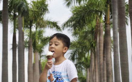 ‘The FEHD’s licensing system for selling ice cream dates back to the days when refrigeration was not universal and the risk of contaminated dairy products was real’. Photo: Felix Wong