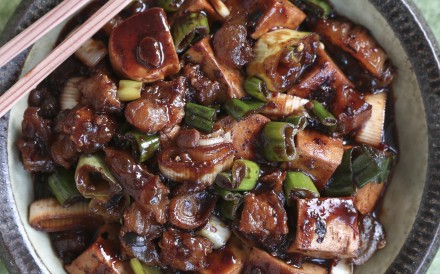 Susan Jung’s recipes for mapo tofu with beef tendon and pan-friend tofu with chilli-soy sauce