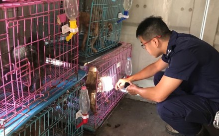 An officer from the Society for the Prevention of Cruelty to Animals rescues dogs from a cargo container in 2017. Photo: Handout