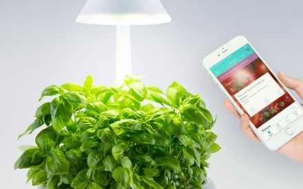 New mobile phone technologies mean even grow-your-own-food enthusiasts stuck indoors can show off their green-fingered talents New mobile phone technologies mean even grow-your-own-food enthusiasts stuck indoors can show off their green-fingered talents