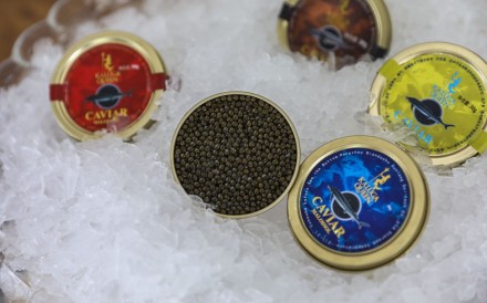 Kaluga Queen caviar products. Kaluga Queen, (Chinese name, Quzhou Xunlong Aquatic Products Sci-Tech development Co. Ltd), world's largest caviar producer, is pictured in Quzhou city, east China's Zhejiang province, on Jul. 26, 2018. Kaluga Queen's caviar product is affected by the US-China trade war. 25JUL18 SCMP/Simon Song
