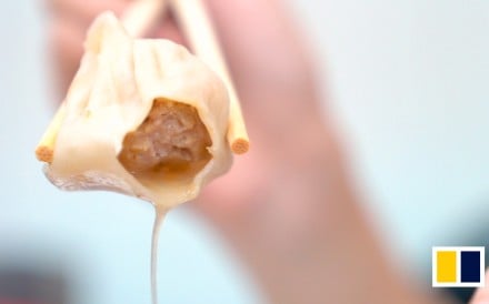 Xiaolongbao : Shanghai dumplings made the old fashioned way