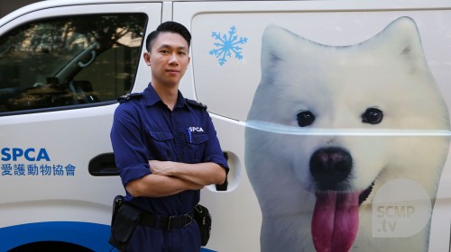 A day in the life of an animal inspector at SPCA