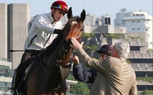 Trainer Francois Doumen pats Siyouma after his filly did a smashing 1,200m turf gallop with Gerald Mosse yesterday.