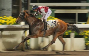 El Grande has been a consistent performer over this trip.